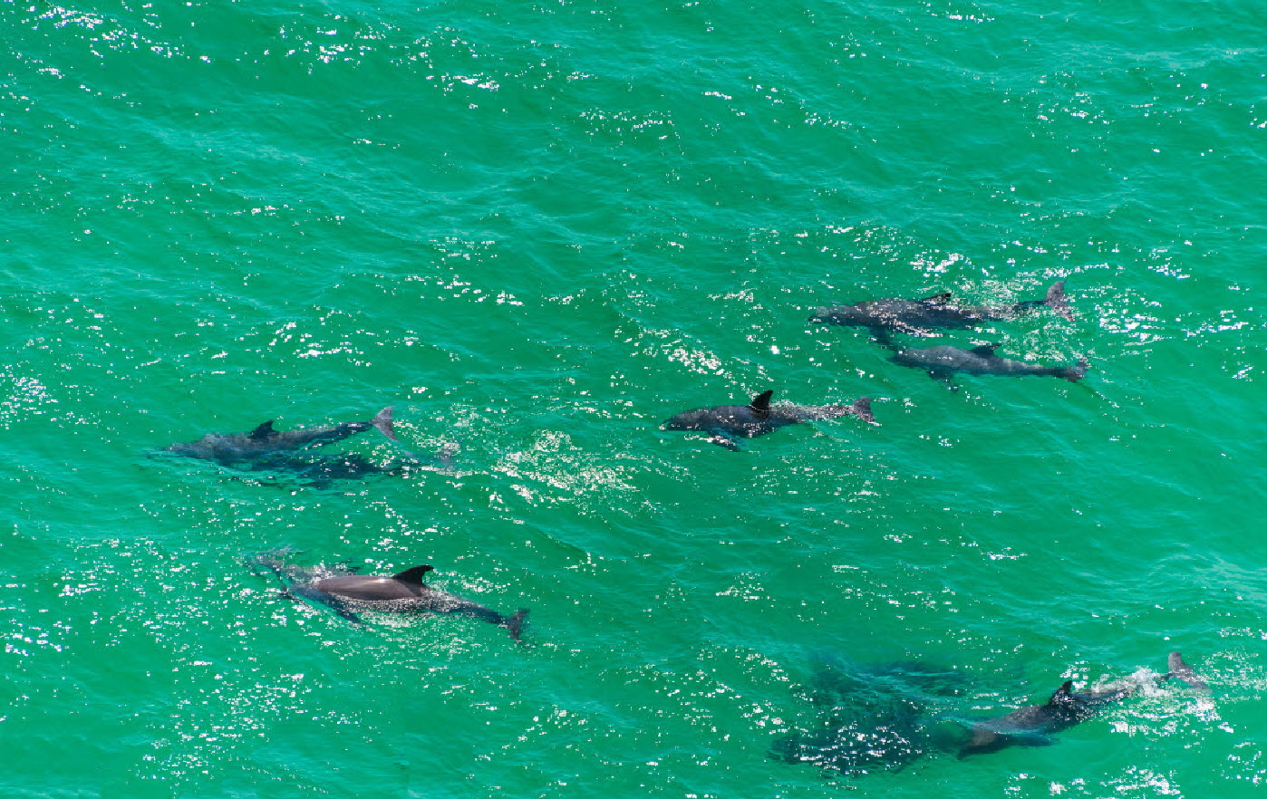 Emerald Coast destination experience