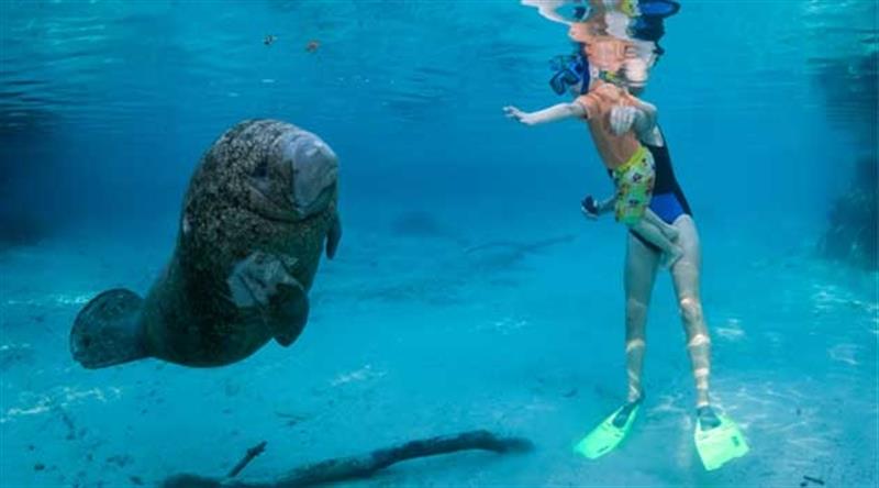 Emerald Coast destination experience