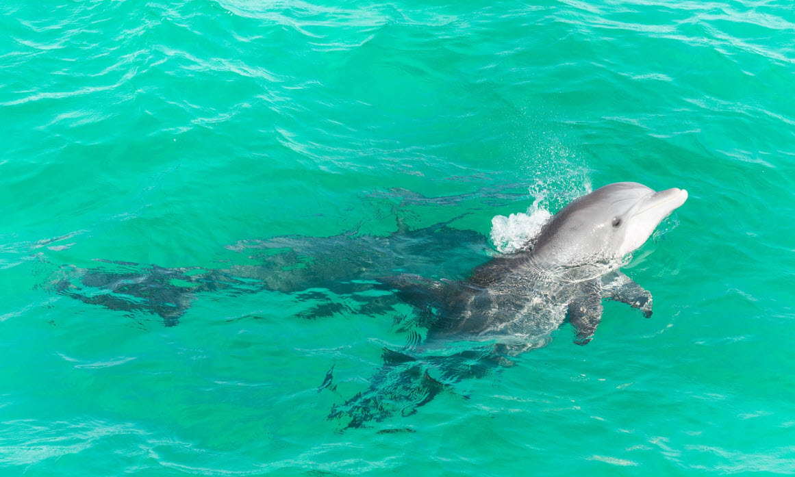 Emerald Coast destination experience